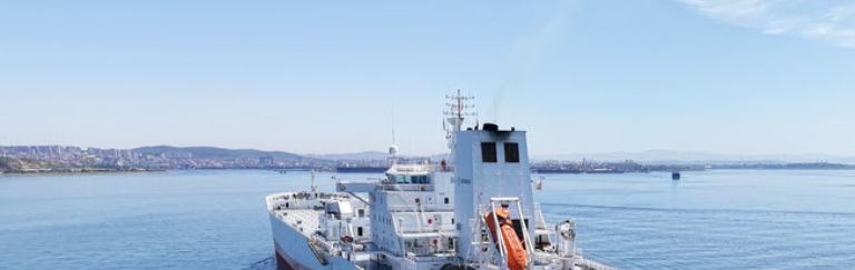 Citrosuco anuncia operação com navio movido a biodiesel B24
