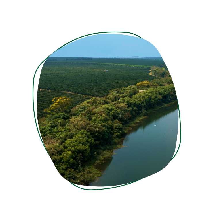 Foto de abertura do programa AGP Ação Climática